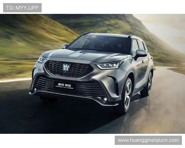 探秘皇冠singnia的独特设计与匠心工艺魅力