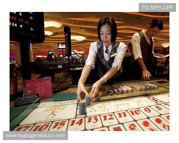 深入分析澳门赌场排名背后的运营策略与客户吸引方式