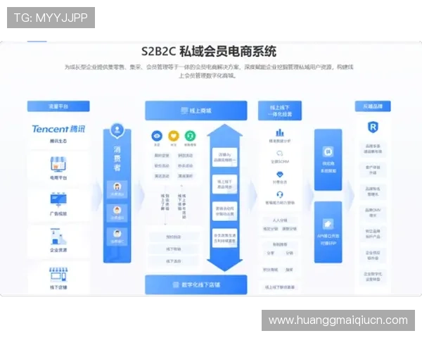 皇冠会员端的多渠道整合策略，助力品牌打造全方位会员服务体系